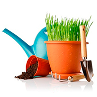 Аксессуары для комнатных растений